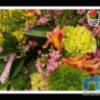Agricultura promueve con una campaña audiovisual que se regalen flores y plantas de Chipiona por el Día de la Madre