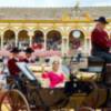 Respuesta ejemplar de participantes y público sevillano al cambio de fecha de la 39ª Exhibición de Enganches de la Feria de Sevilla