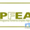 Chipiona recibirá más 800.000 euros en el Programa de Fomento del Empleo Agrario 2025-2026  
