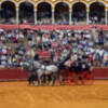 La Real Maestranza de Sevilla acoge la Exhibición de Enganches 2025 con 94 carruajes de todo el mundo