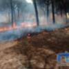 La Junta prohíbe el uso del fuego en los espacios forestales y de influencia forestal de Andalucía hasta el 15 de octubre