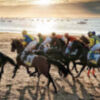 Lo mejor del Segundo Ciclo de Carreras de Caballos de Sanlúcar, este domingo en Andalucía Televisión