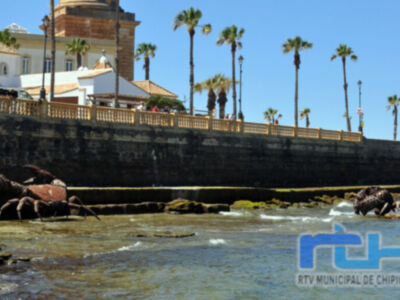 Turismo de Chipiona anima a aprovechar hasta octubre para ver el conjunto escultórico ‘Cangrejos en el Litoral Gaditano’