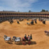 Canal Sur emite el I Concurso Internacional de Enganches de Tradición de Ronda