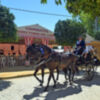  La Feria de San Gregorio de Osset 2025, un estallido de música, devoción y folclore ilipense en Alcalá del  Río