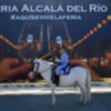  Alcalá del Río celebra unas Fiestas de San Gregorio 2025 llenas de tradición y alegría