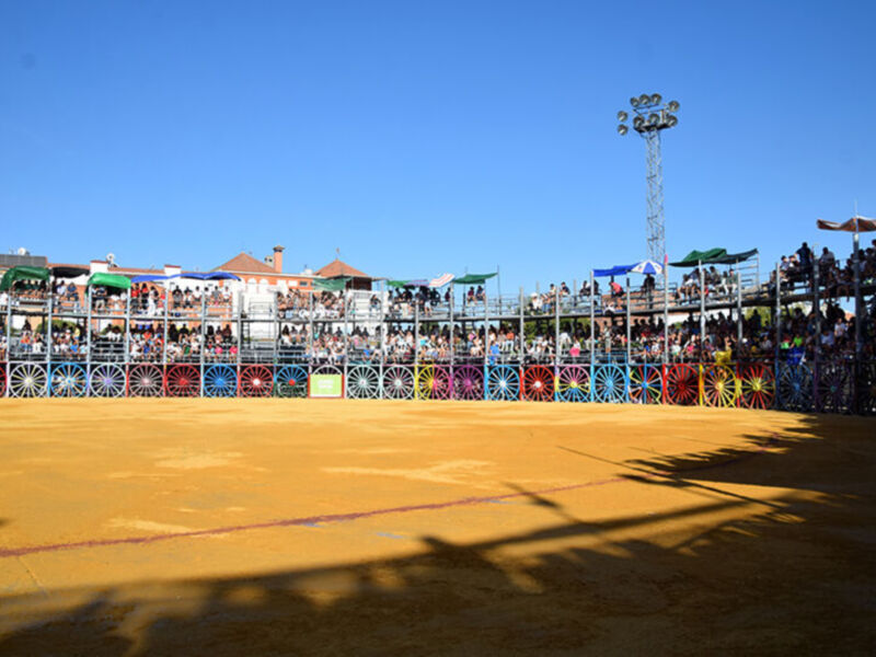 El pundonor de Bombita y la solvencia de Cristóbal de Lara marcan el último festejo en La Algaba (Sevilla)