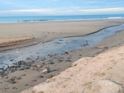 La Comunidad de Regantes de la Costa Noroeste de Cádiz dará servicio al campo de Chipiona.