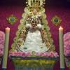 El Círculo Cultural Rociero de Pino Montano reafirma su compromiso con las tradiciones andaluzas y la convivencia vecinal
