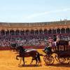 Ronda homenajeada en un desfile de elegancia y caballos que ilumina la Maestranza de Sevillana