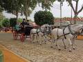 La Feria de Abril regresó como uno de los grandes referentes culturales y sociales de España