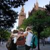 Más de 10.000 alumnos descubren el legado histórico y espiritual de la Catedral de Sevilla.