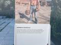 Otro de los tótems de la exposición, con fotografía de Mónica Figueras en la plaza de España de Sevilla.