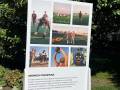 Uno de los tótems de la exposición sobre Sevilla Linces en NFL Culture Club Madrid, dedicado a la historia del fútbol americano en Sevilla.