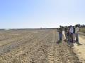 Terrenos en los que se excava la nueva laguna, de casi seis hectáreas